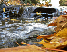 ddos攻击测试工具